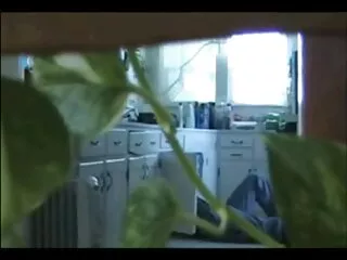জাল হাব বাংলা চোদাচুদি গান - ব্যবসা মাই পার্ট 1